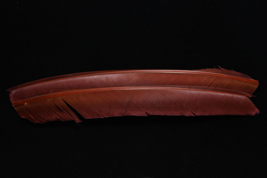 mahogany