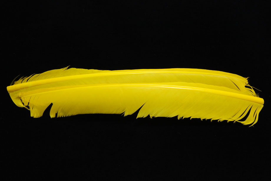 yellow