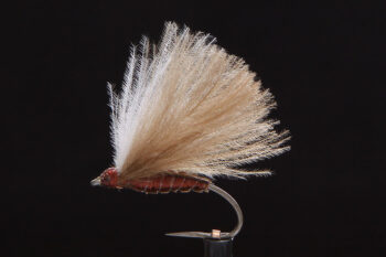 CDC Biot Caddis brown-0