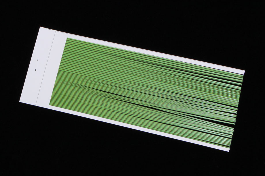 caddis green