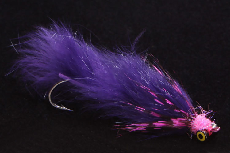 Leech purple-0