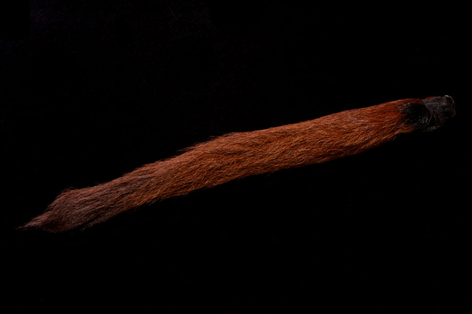 seal brown