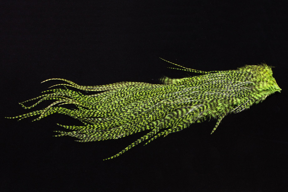 chartreuse