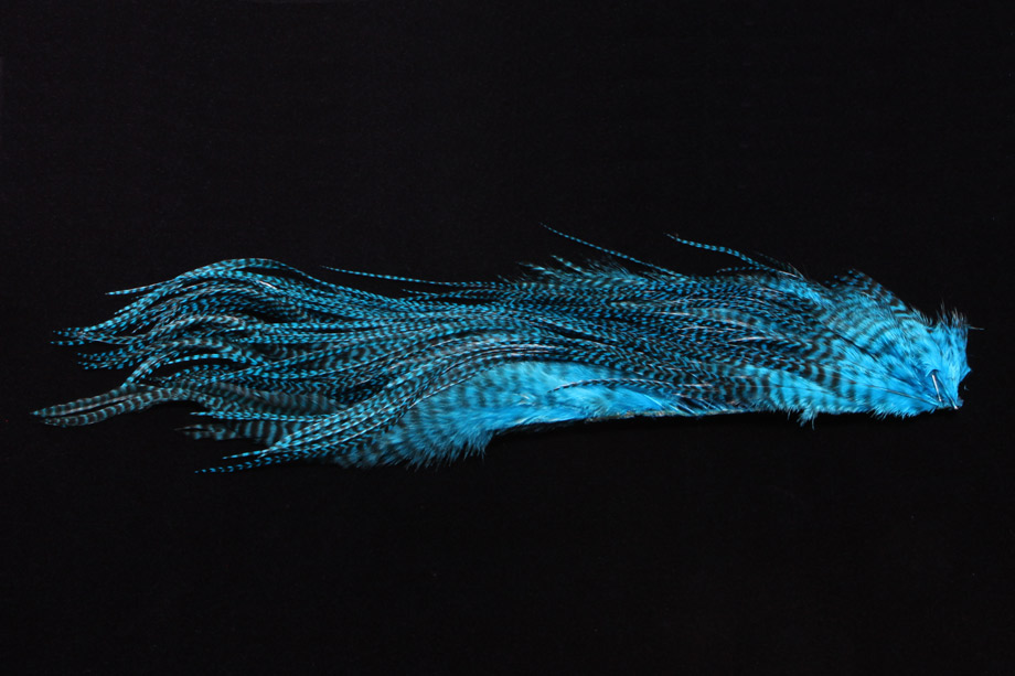 teal blue