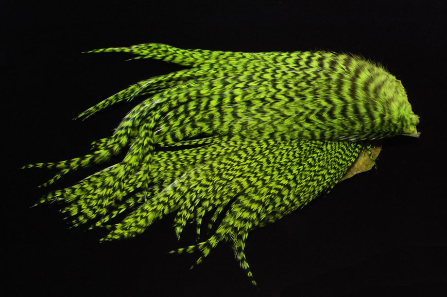 grizzly/fluo green chartreuse