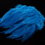kingfisher blue