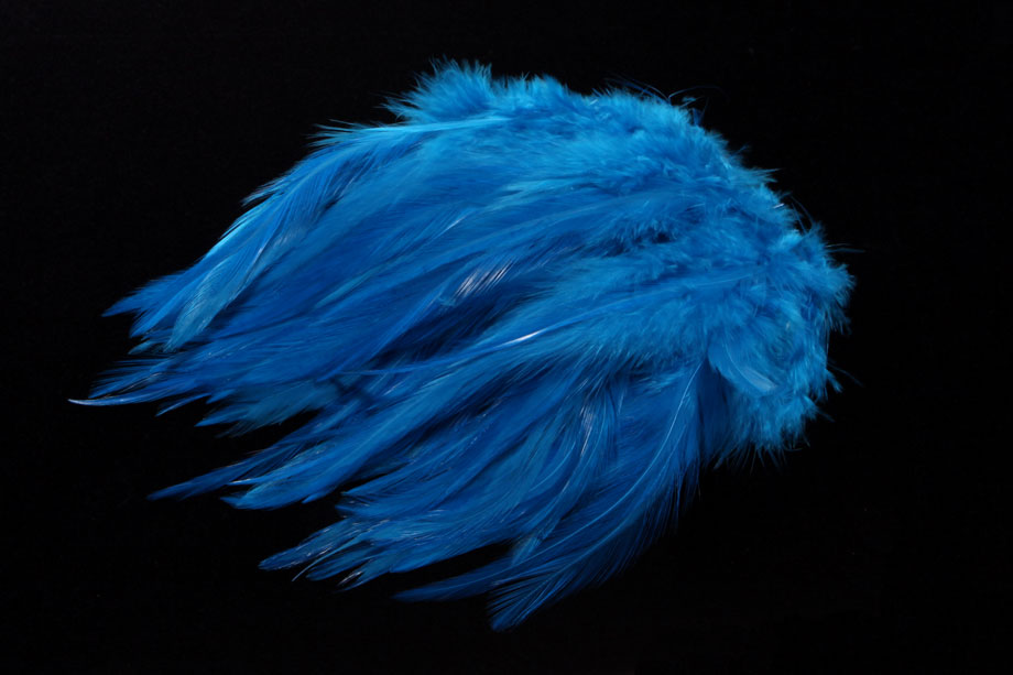 kingfisher blue