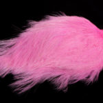 shell pink