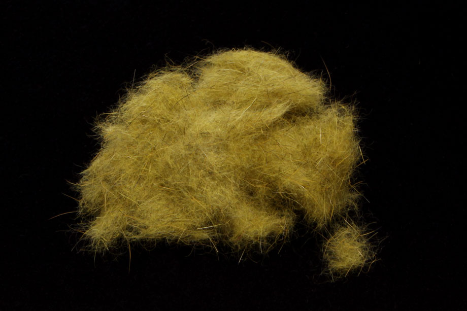 curry yellow