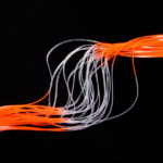 clear pearl/fluo orange tipped