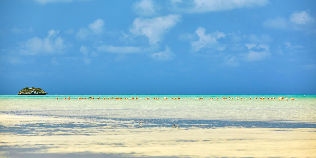 Fliegenfischen Acklins Bahamas