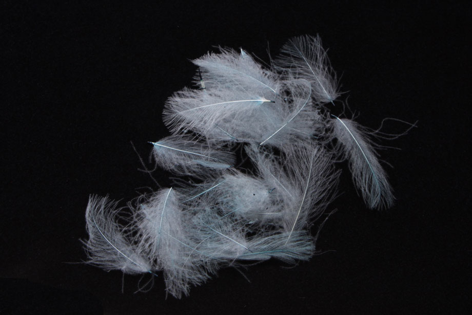 pale blue