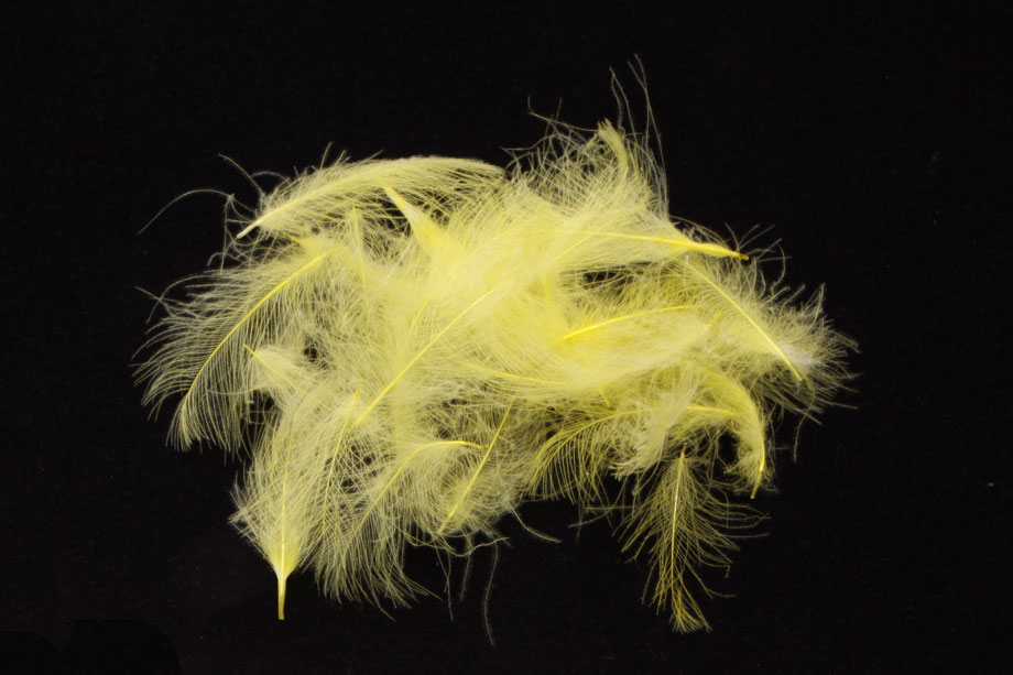 pale yellow