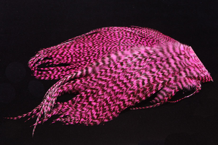 grizzly/pink