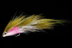 Andreas Andersson's Ragdolly rainbow trout