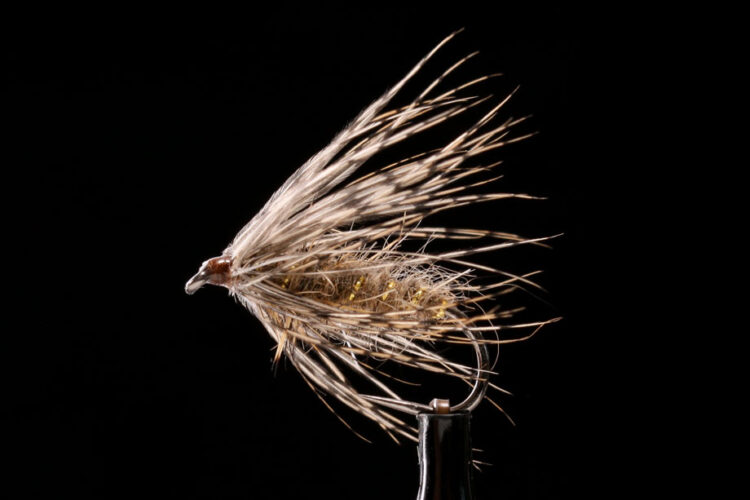 Hare's Ear Soft Hackle