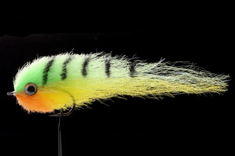 EP Fiber Baitfish firetiger