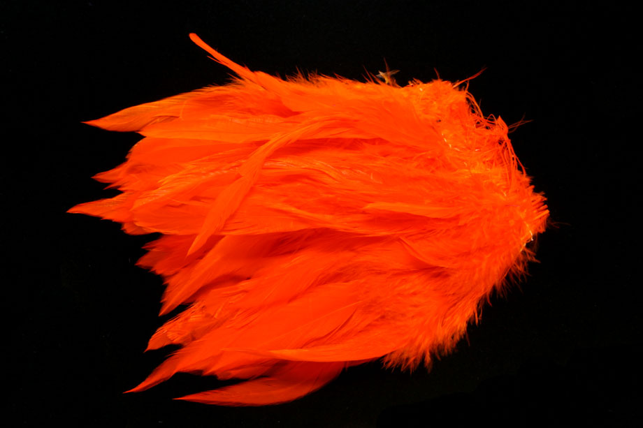 hot orange