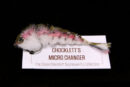 Chocklett's Micro Changer baby rainbow trout