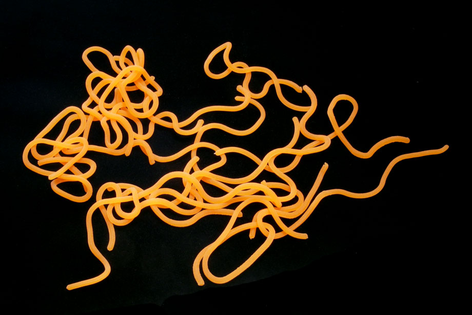 fluo orange