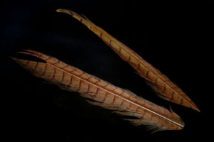 Hends Pheasant Tail Feather