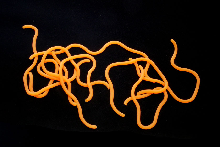 fluo orange