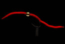 Beadhead San Juan red