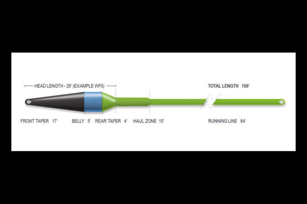 Airflo Streamer Max Taper