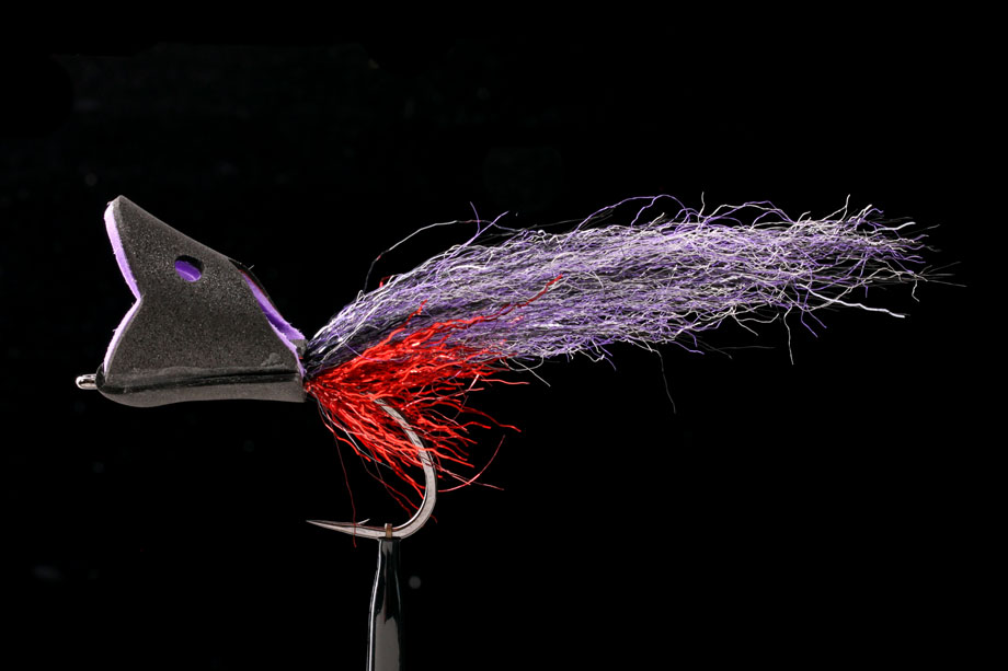 EP Hollow Popper black/purple