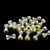 nickel/yellow pupil