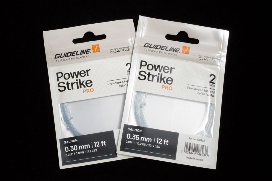 Guideline Salmon 12'