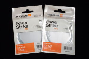 Guideline Standard 12'