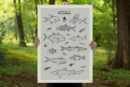 Creatures of the Seven Seas Poster