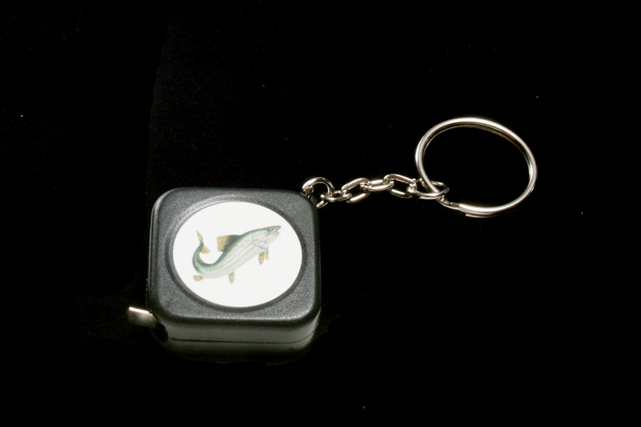 Tape Measurer